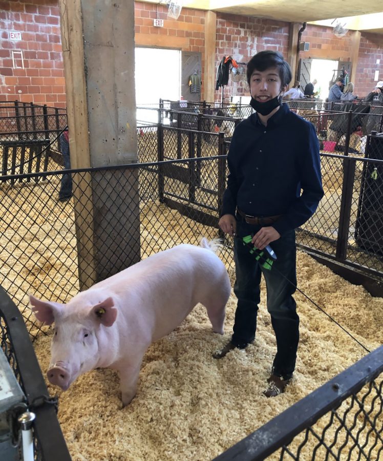 Dallas and Dominik Munoz in the pen at the State Fair in Dallas, Texas.  Munoz won 6th place.