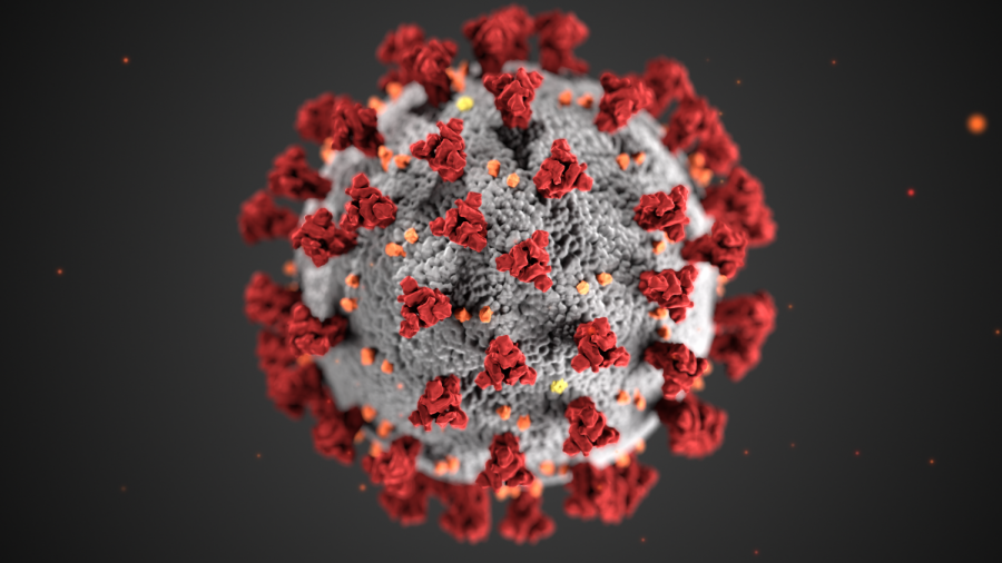 COVID-19+virus