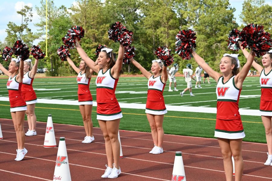 Freshman cheerleaders had a chance to cheer on the freshman squad at Meet the Players last Saturday.