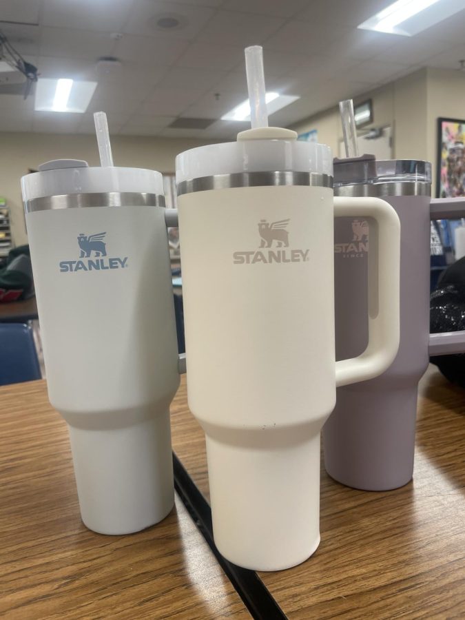 Why Are Stanley Tumblers So Popular?