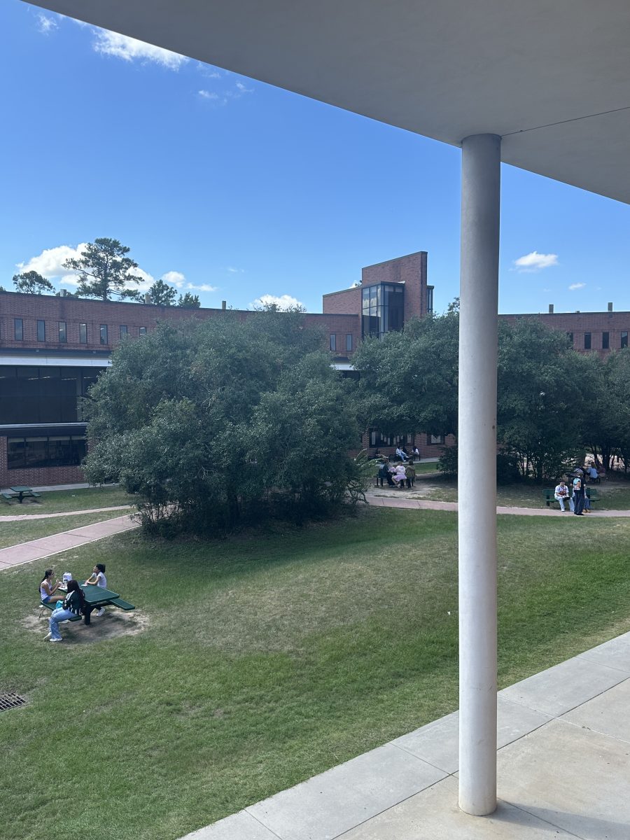 Photo of the large courtyard at TWHS.