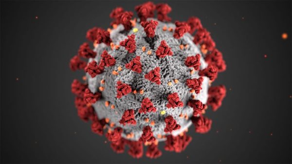 The COVID-19 Virus