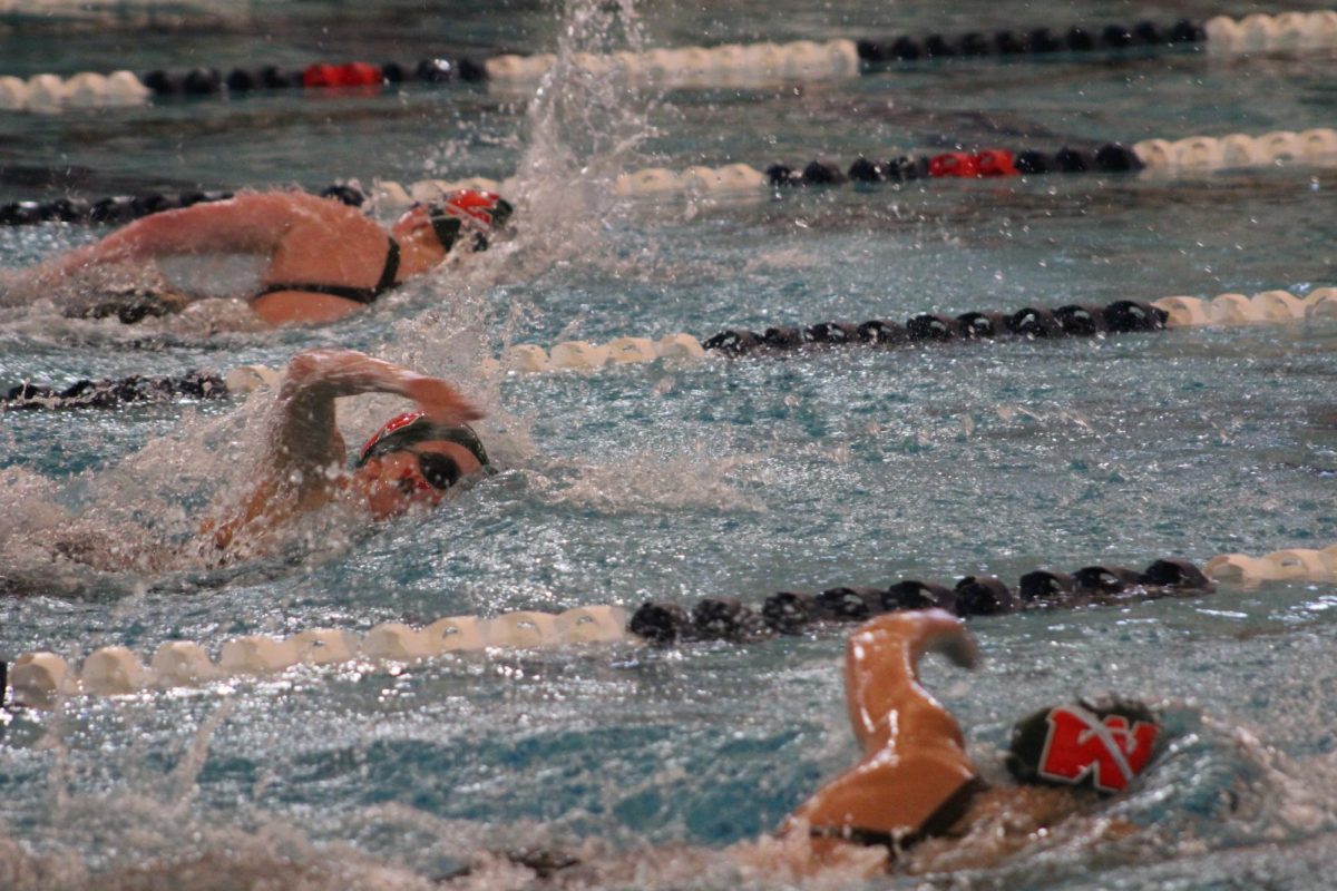 Swim and Dive competes in State and Nationals. 