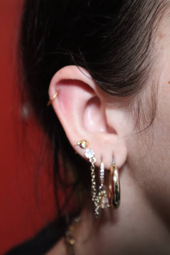 Marlee Price's earrings
