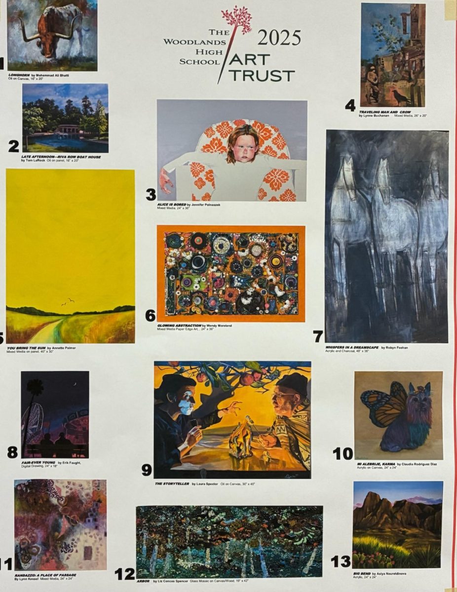 The 2025 art nominations displayed in the TWHS hallway. 