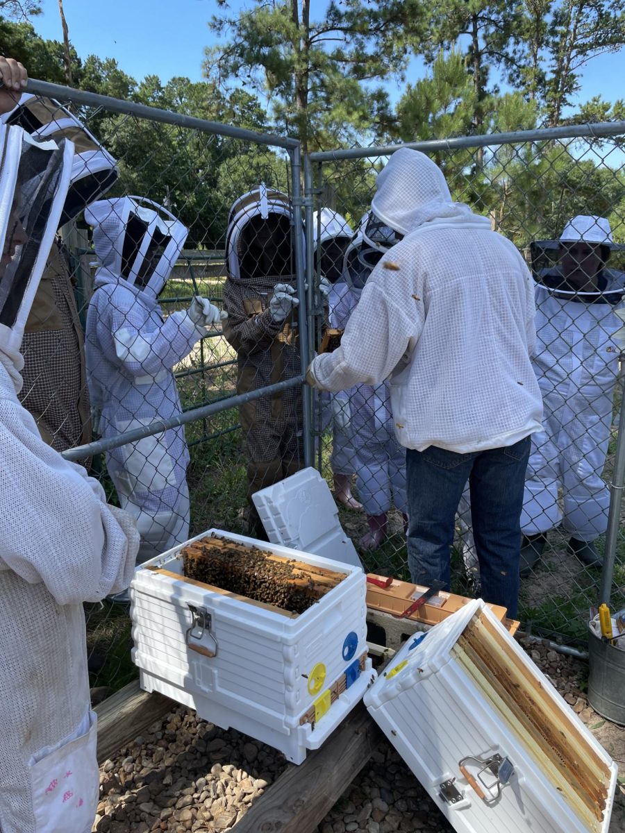 Bryce and his fellow beekeepers checking the hive for mites and pulling out a frame of honey.