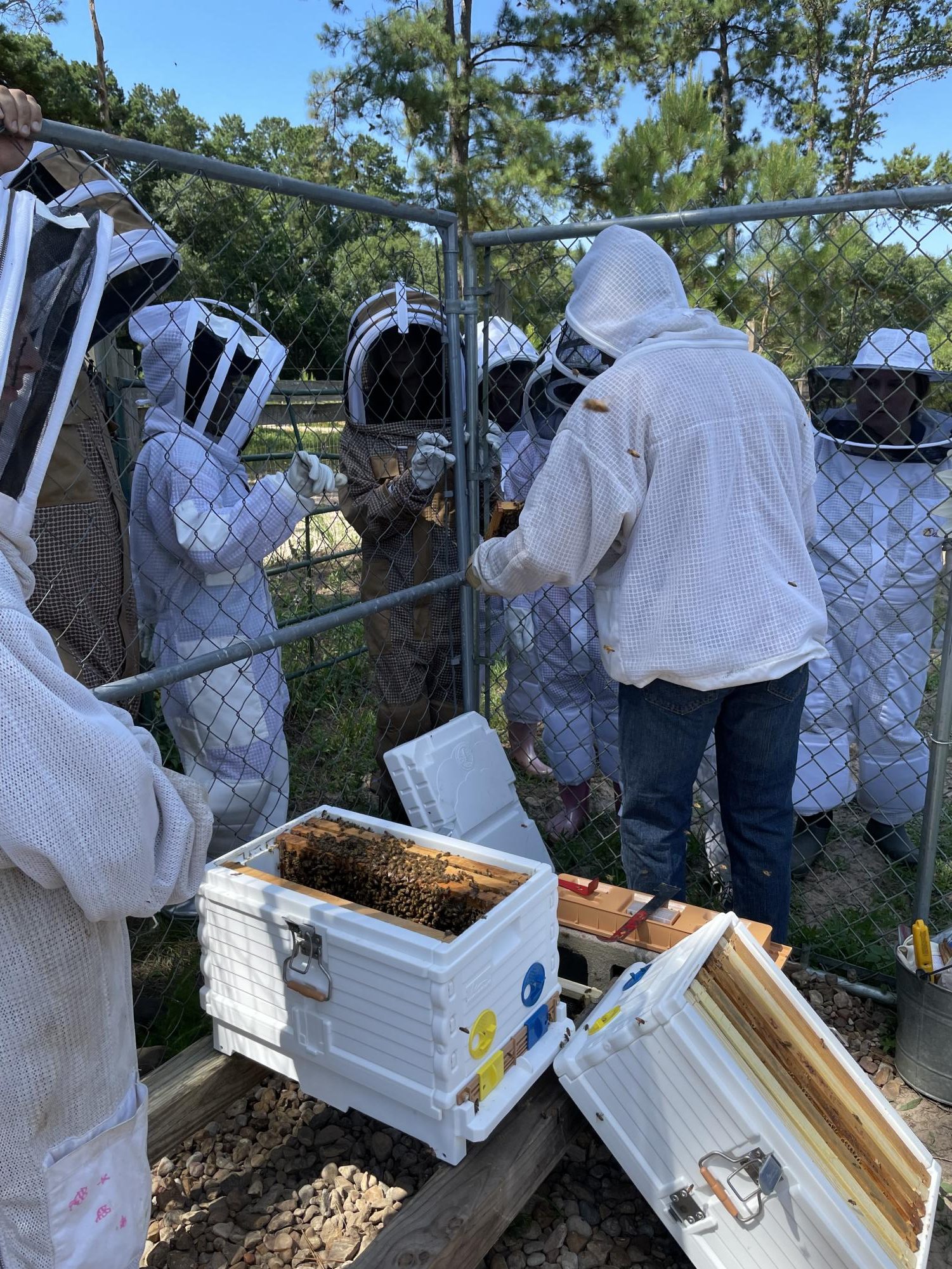 Bryce and his fellow beekeepers checking the hive for mites and pulling out a frame of honey.