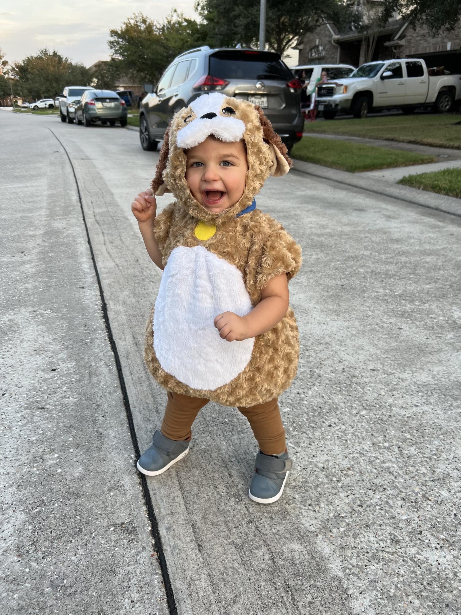 Ryder dressed up as a dog, and standing in the street. Provided by Maggie Buckley, used with permission.